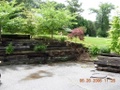 dscn0110.jpg