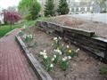 flower beds 20030507 15